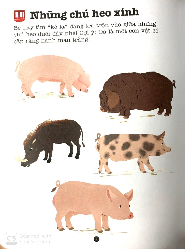 trò chơi phát triển trí tuệ - vườn bách thú - Ảnh 3