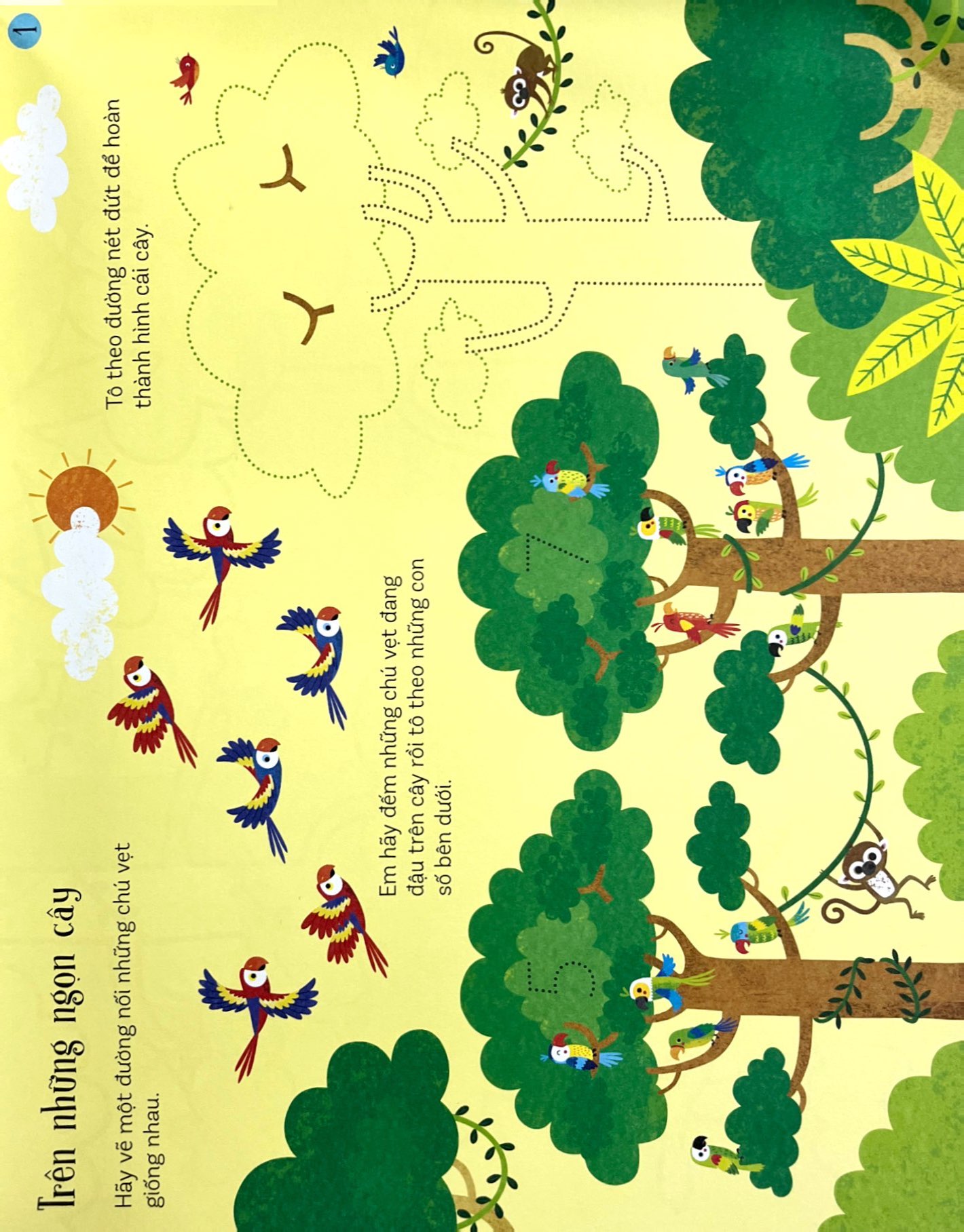 trò chơi phát triển tư duy - khám phá rừng xanh - Ảnh 3