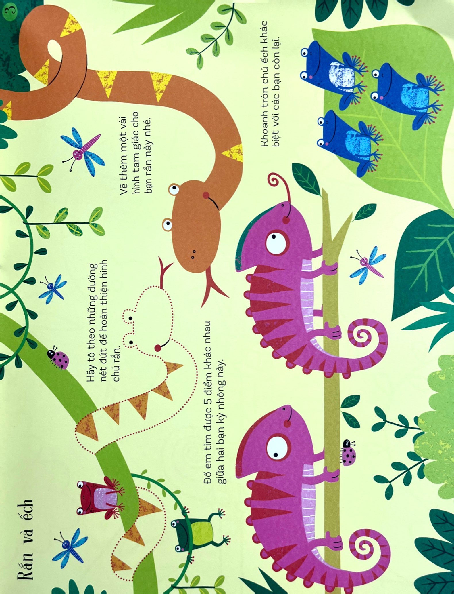 trò chơi phát triển tư duy - khám phá rừng xanh - Ảnh 5