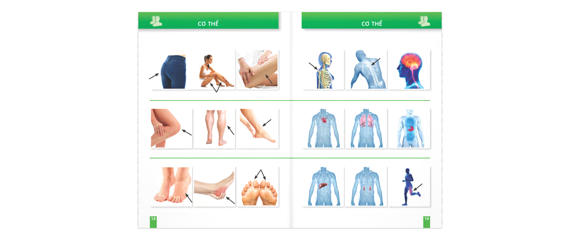 trò chuyện khi đi du lịch 100% bằng hình - Ảnh 10