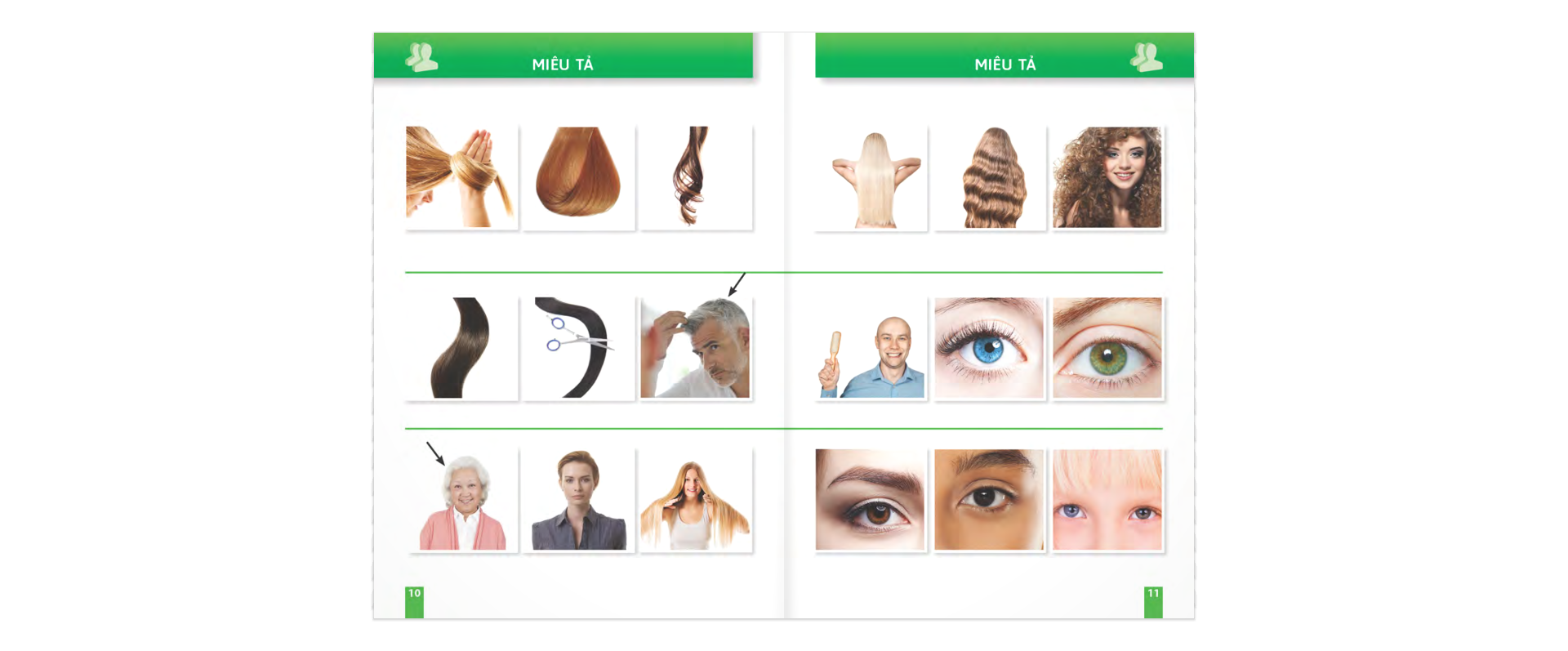 trò chuyện khi đi du lịch 100% bằng hình - Ảnh 6