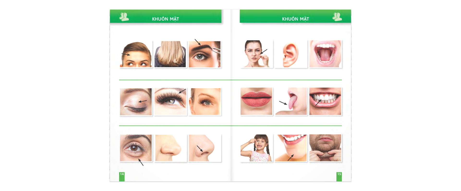 trò chuyện khi đi du lịch 100% bằng hình - Ảnh 8