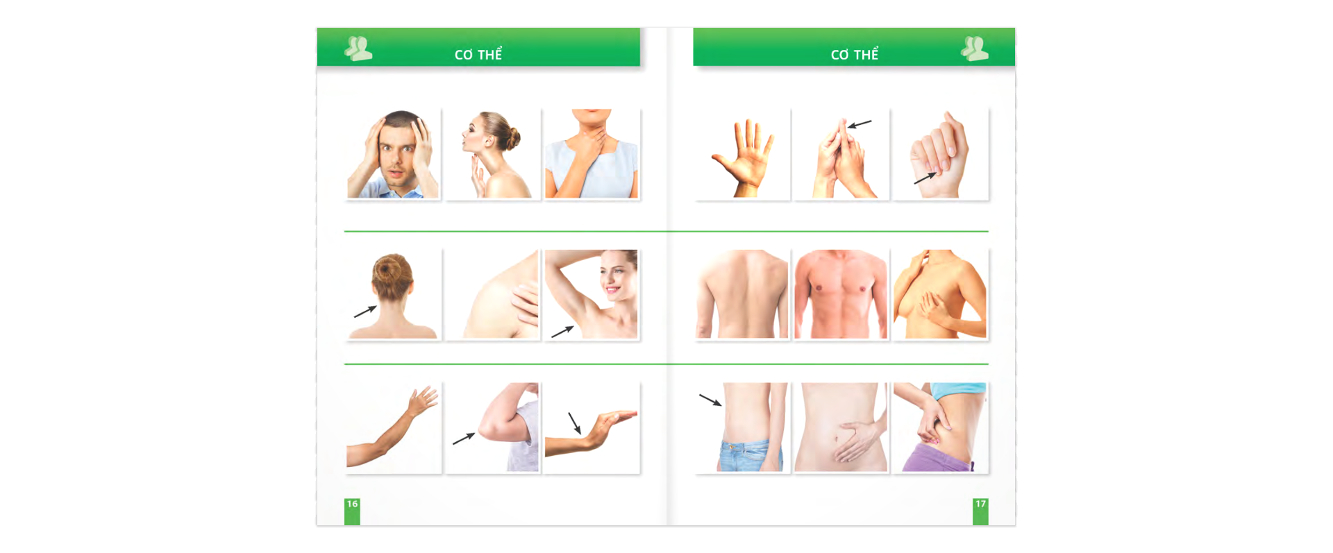 trò chuyện khi đi du lịch 100% bằng hình - Ảnh 9