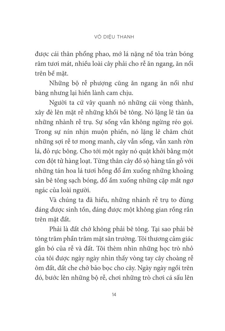 trò chuyện với lục bình - Ảnh 10