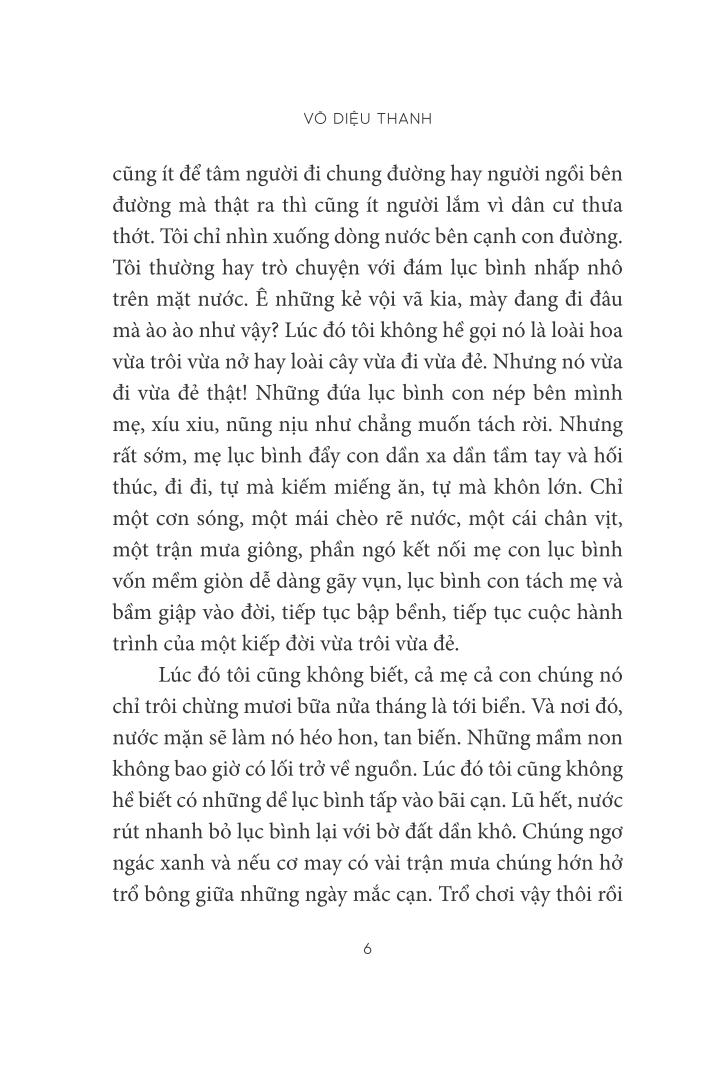 trò chuyện với lục bình - Ảnh 3