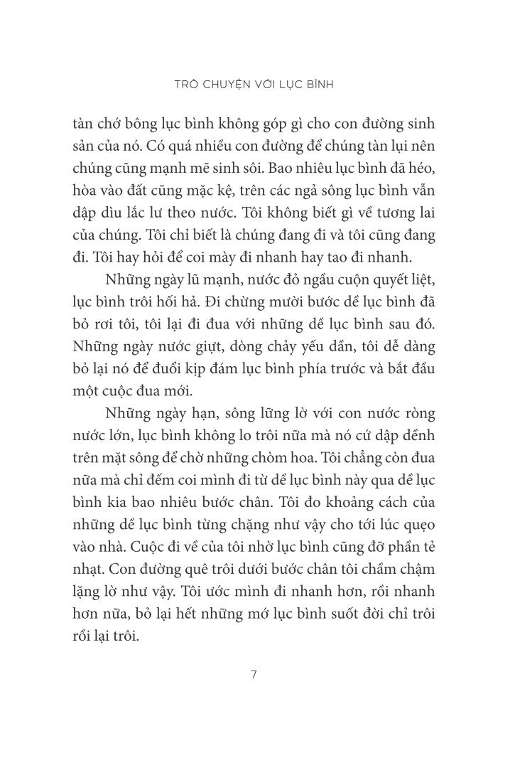 trò chuyện với lục bình - Ảnh 4