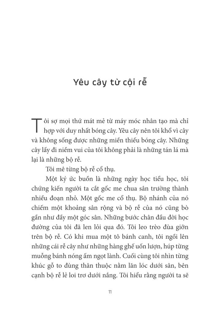 trò chuyện với lục bình - Ảnh 7