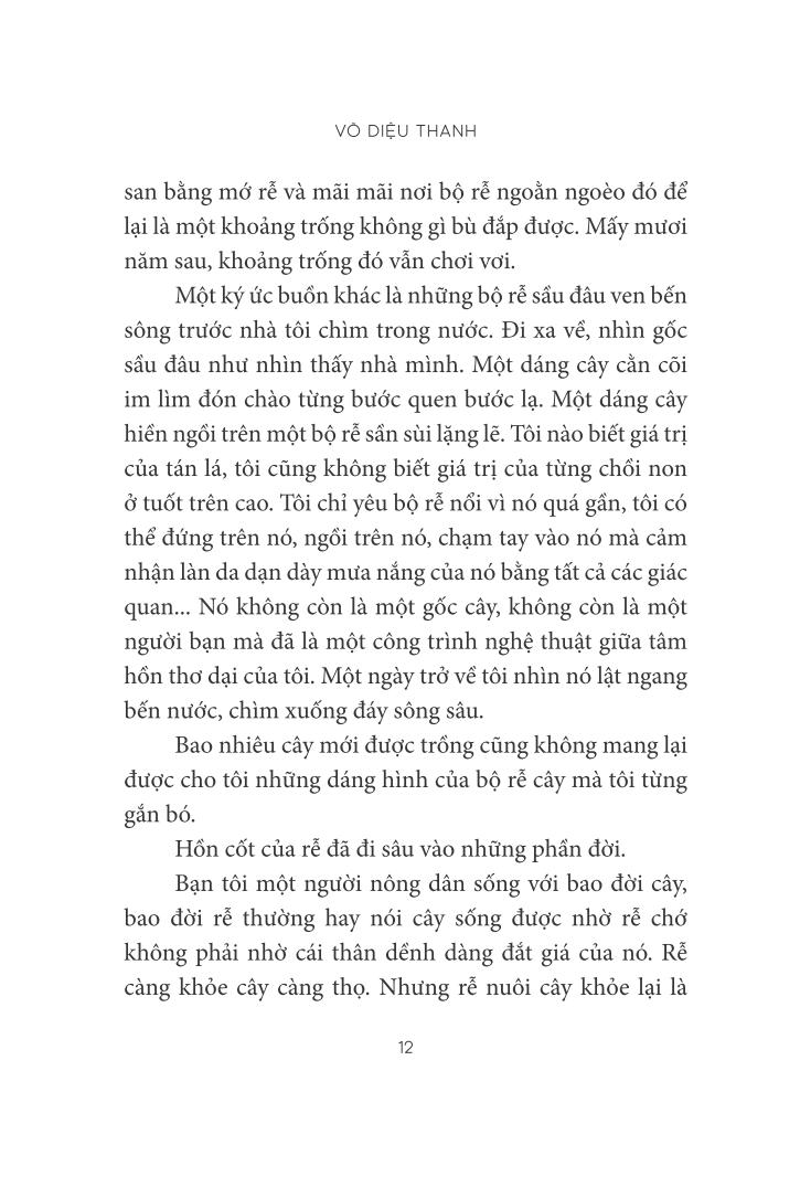 trò chuyện với lục bình - Ảnh 8