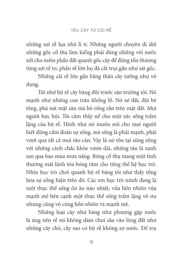 trò chuyện với lục bình - Ảnh 9