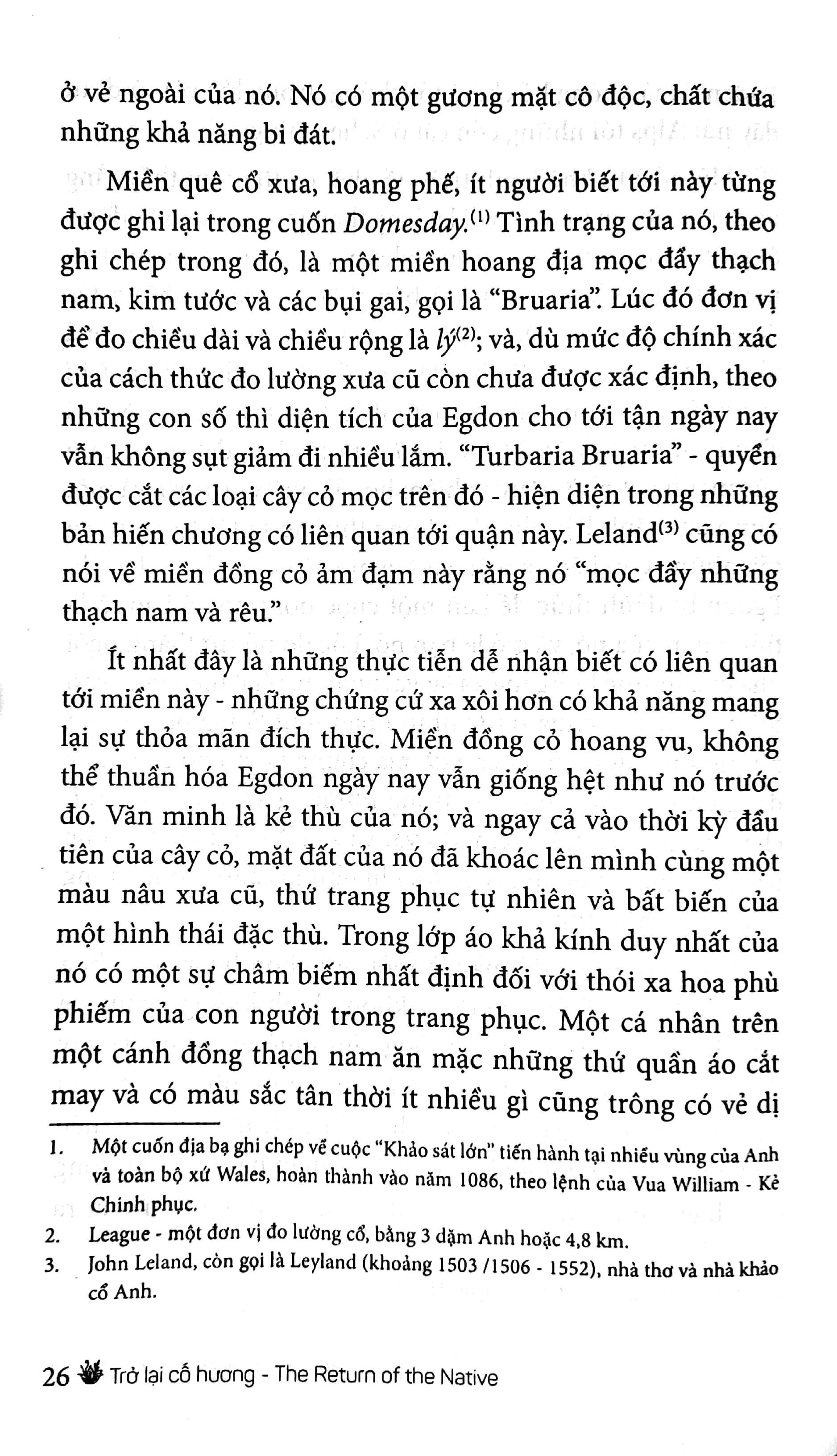 trở lại cố hương - Ảnh 7