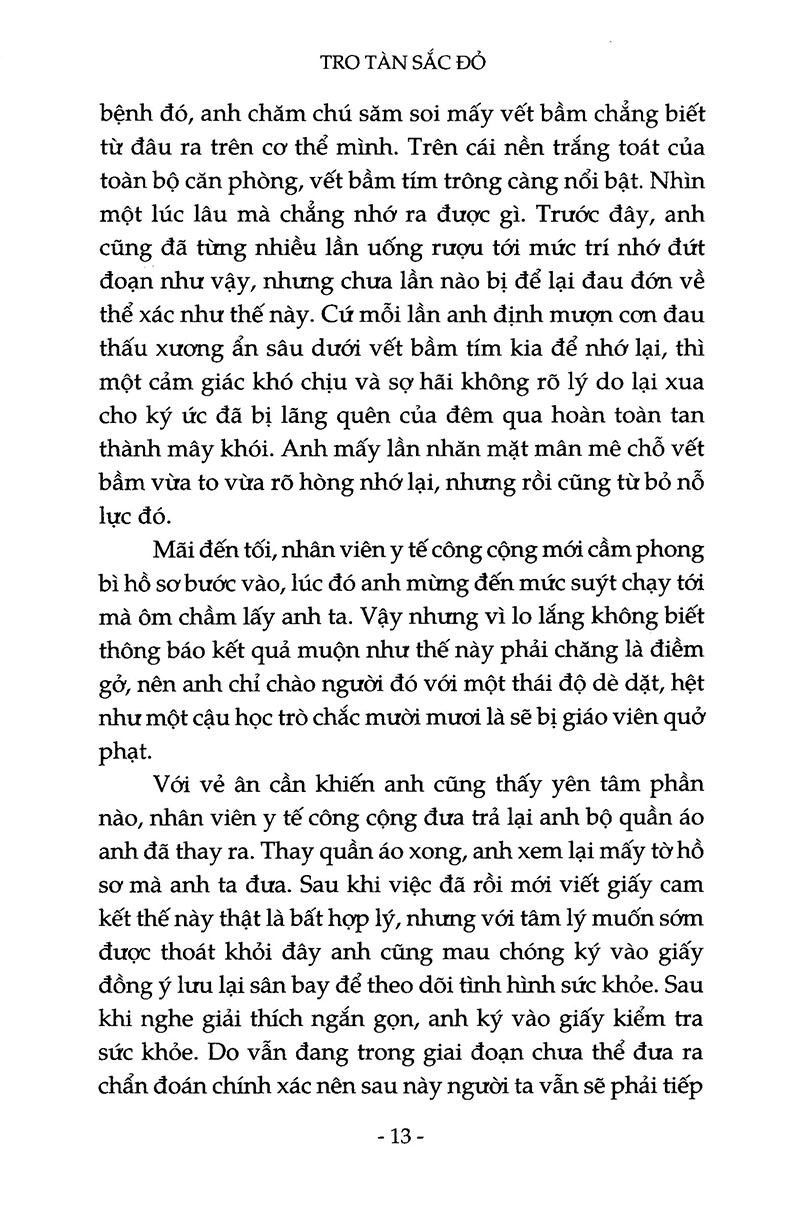 tro tàn sắc đỏ - Ảnh 9