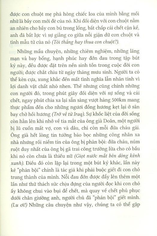 trở về từ iraq - Ảnh 5