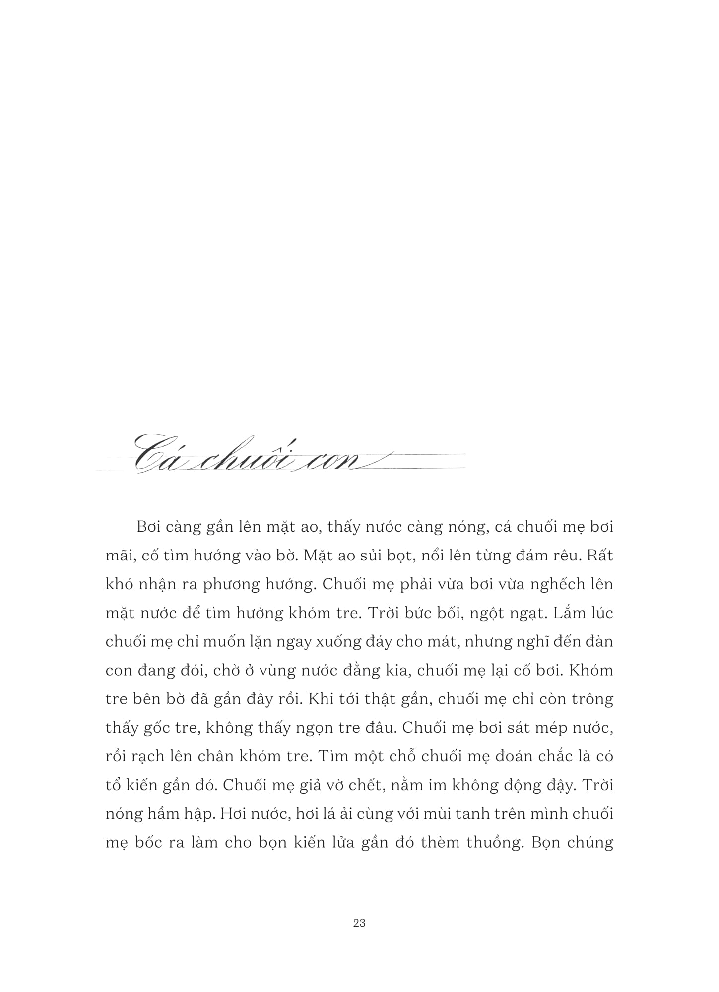 trời xanh của mỗi người - Ảnh 11