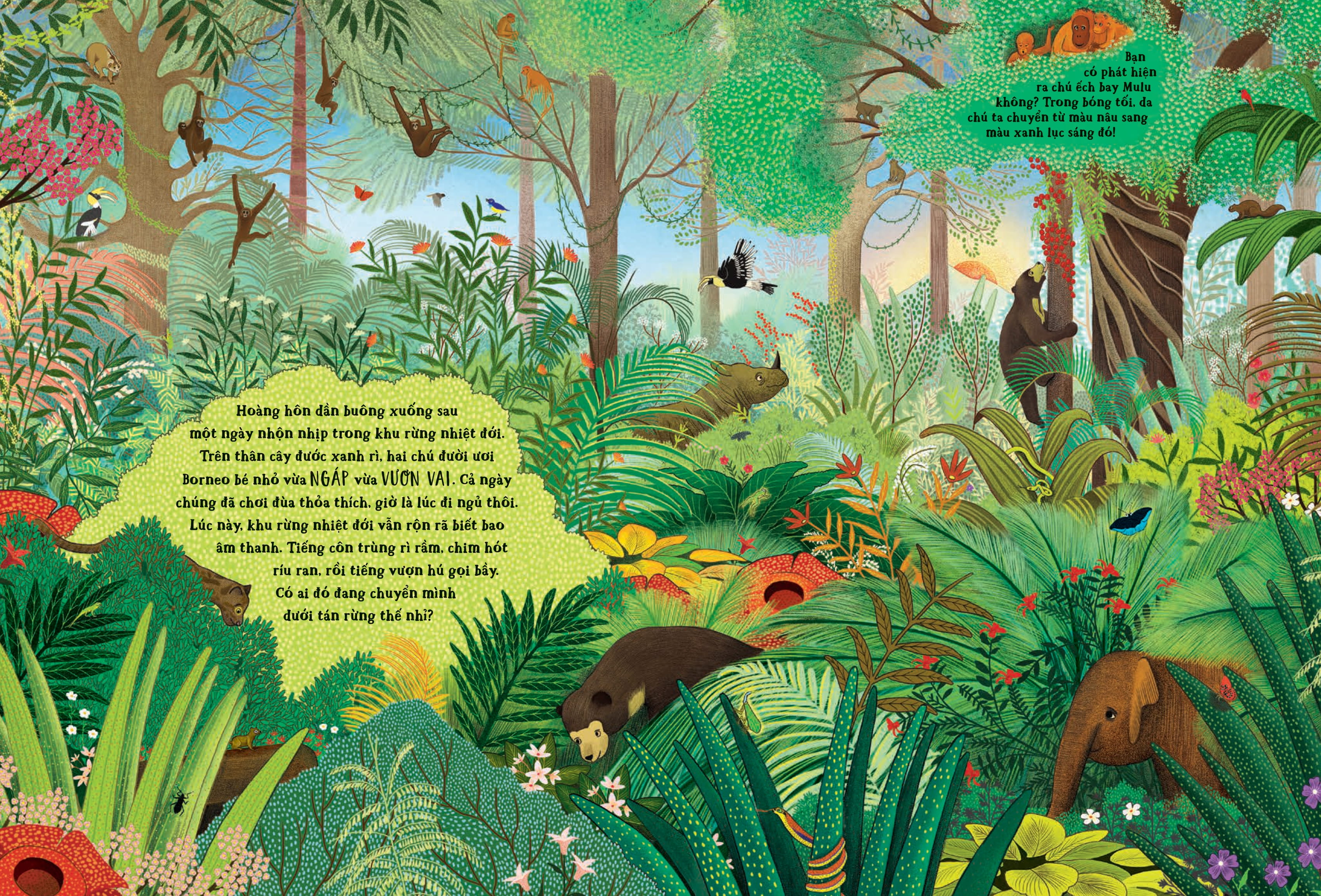 Trốn Tìm Cùng Thiên Nhiên - Bí Ẩn Rừng Xanh - Ảnh 3