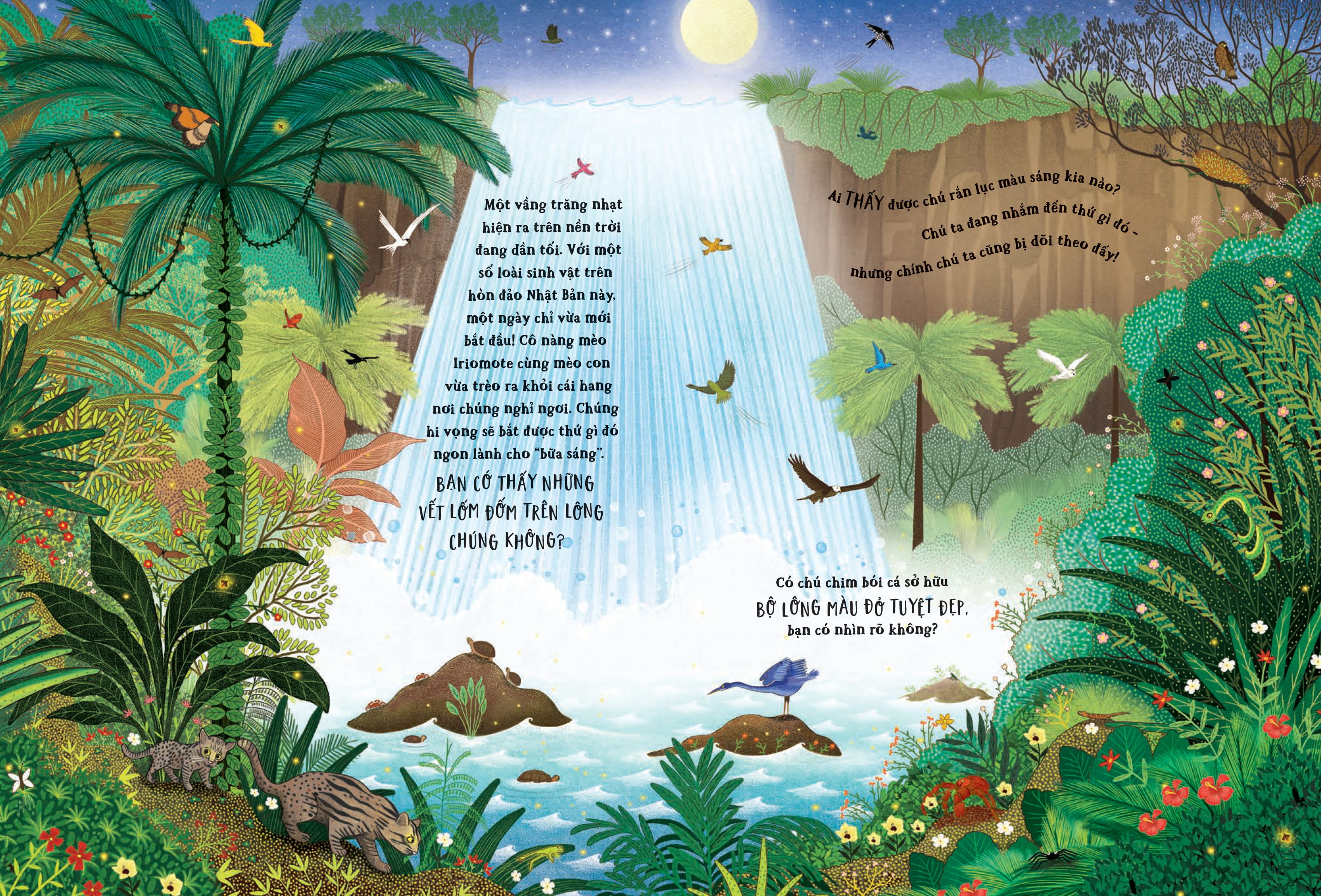 Trốn Tìm Cùng Thiên Nhiên - Bí Ẩn Rừng Xanh - Ảnh 4