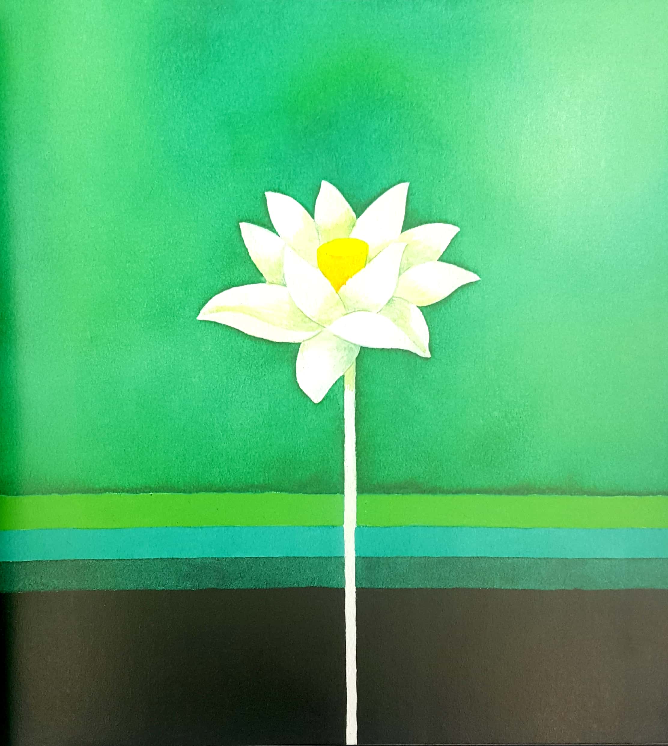 trong cái không có gì không? - Ảnh 6