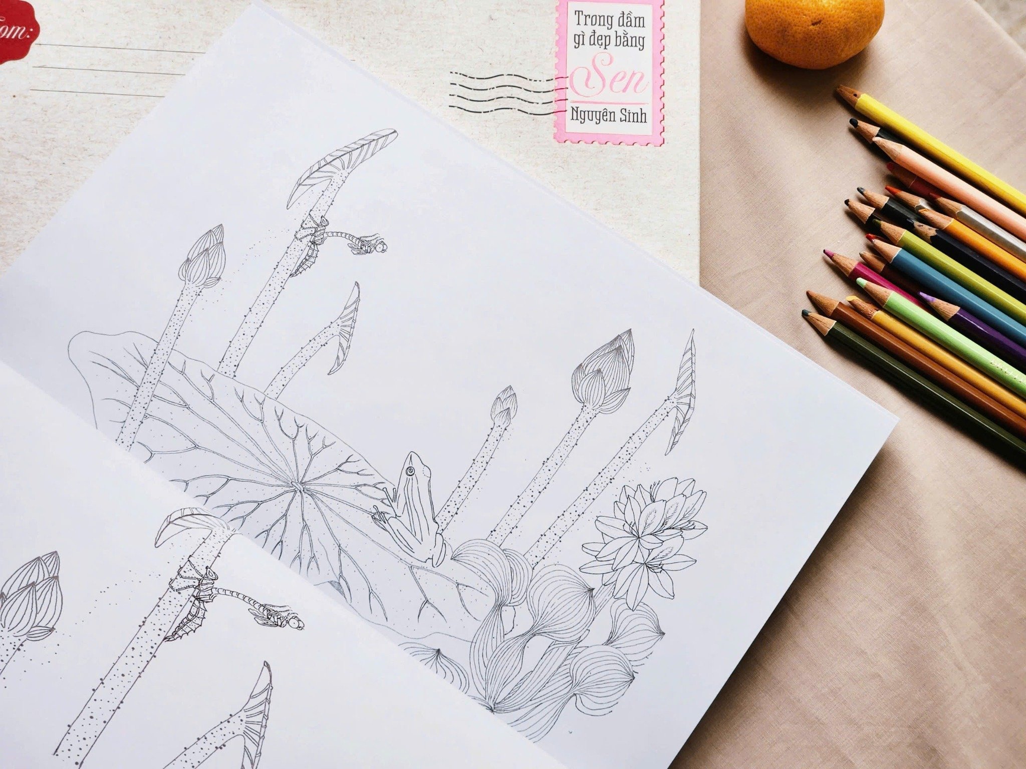 trong đầm gì đẹp bằng sen - sách tô màu - Ảnh 4
