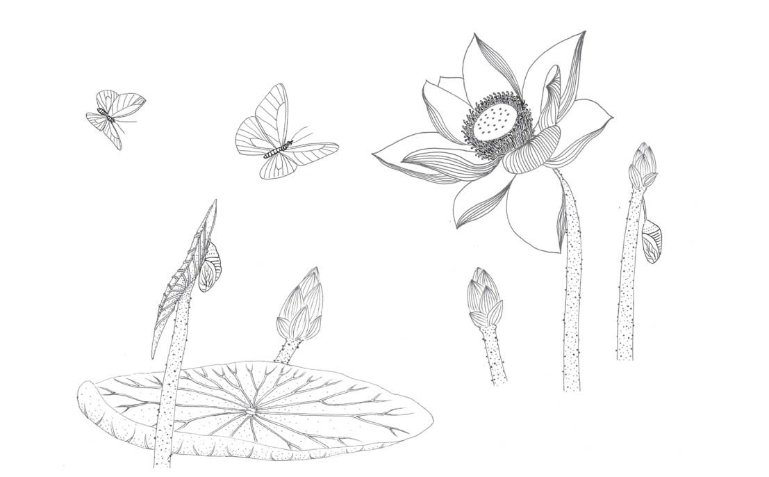 trong đầm gì đẹp bằng sen - sách tô màu - Ảnh 5