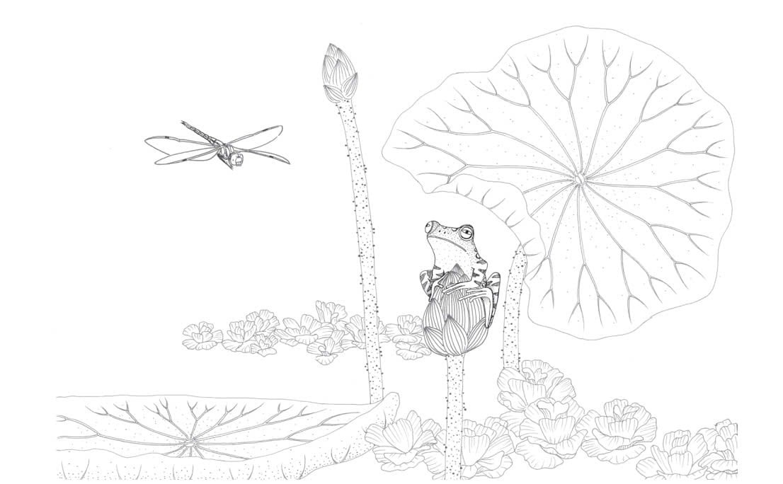 trong đầm gì đẹp bằng sen - sách tô màu - Ảnh 8