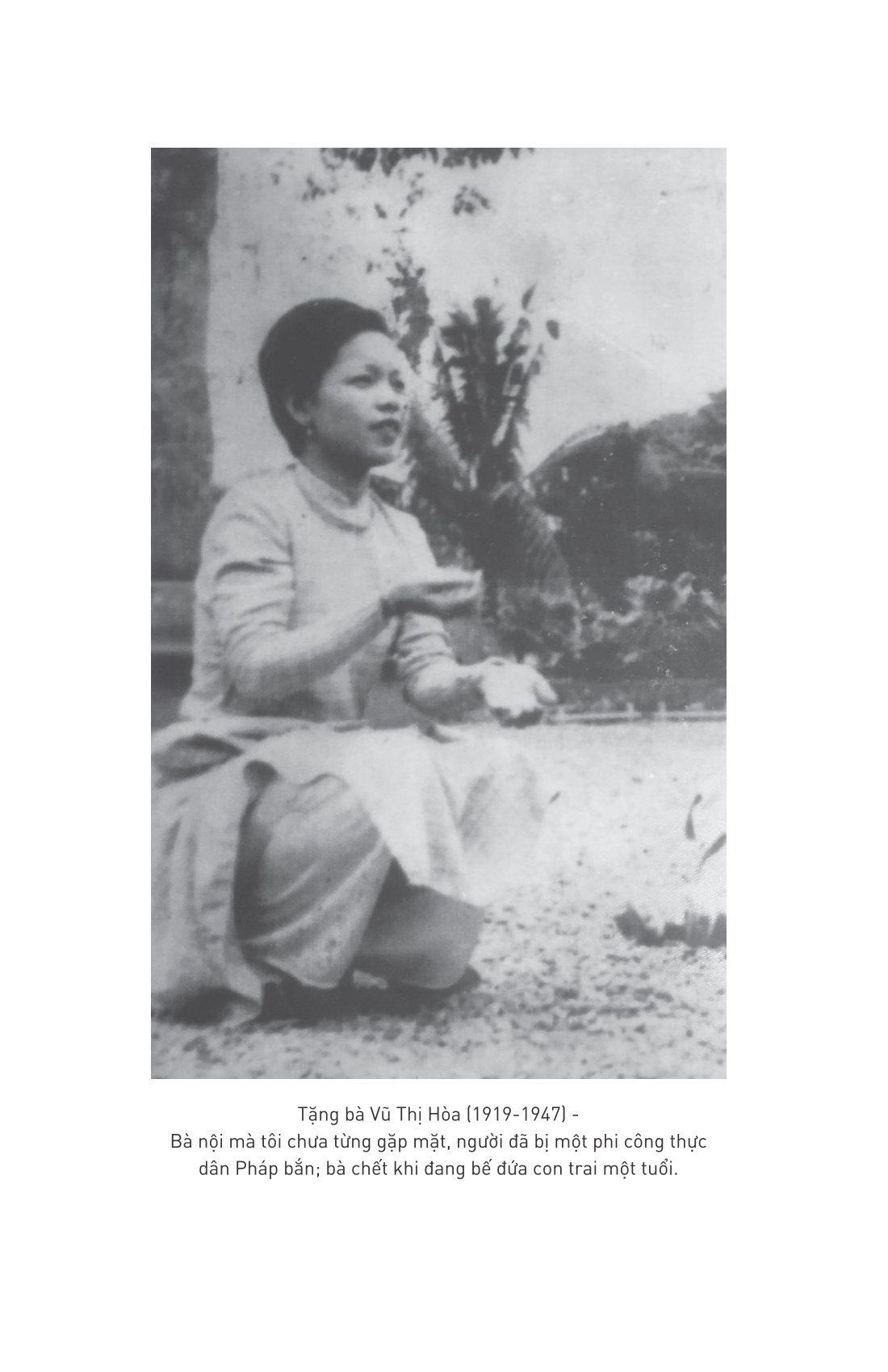 trống đồng - tiểu thuyết lịch sử về hai bà trưng - Ảnh 10