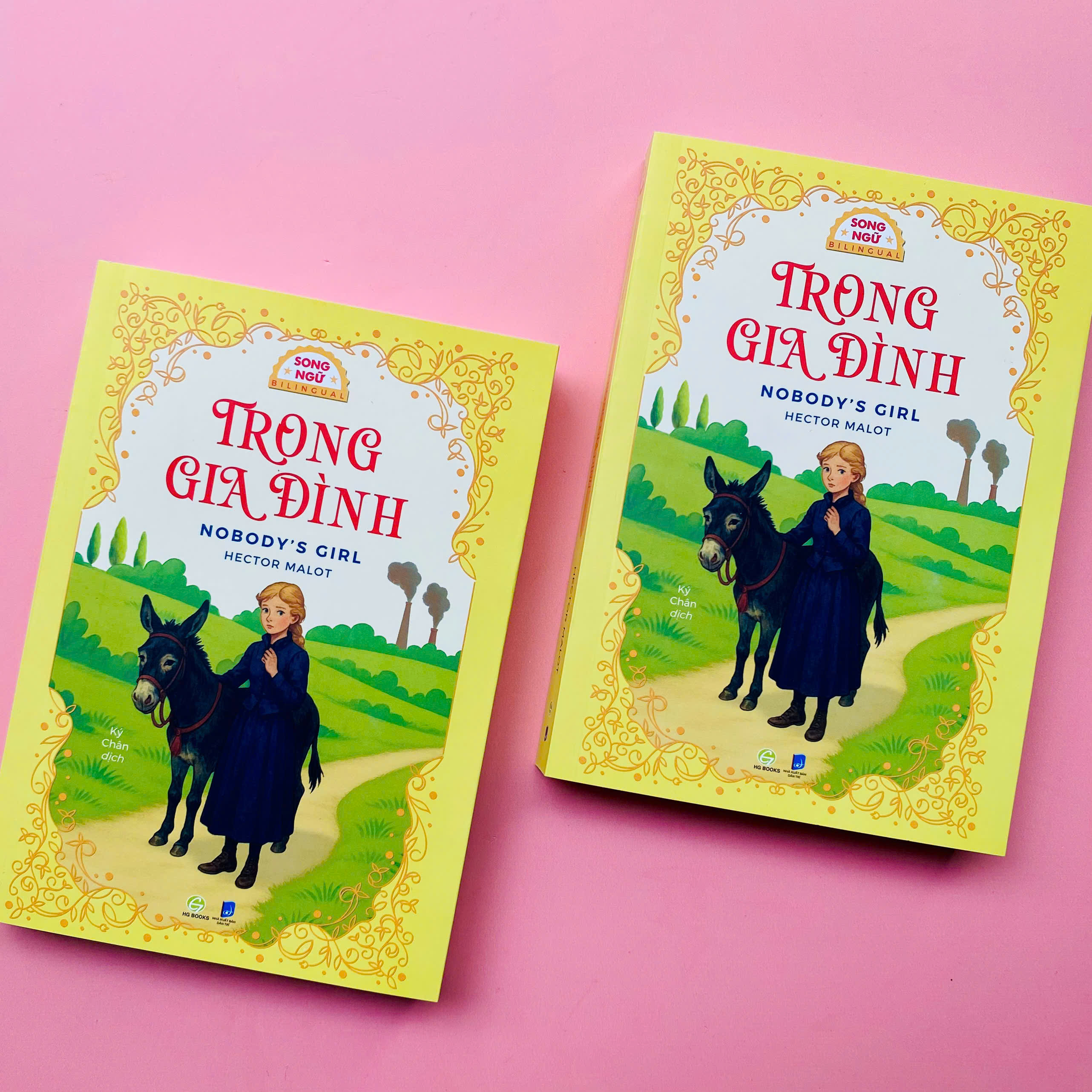 Trong Gia Đình - Nobody's Girl - Song Ngữ Anh-Việt - Ảnh 4