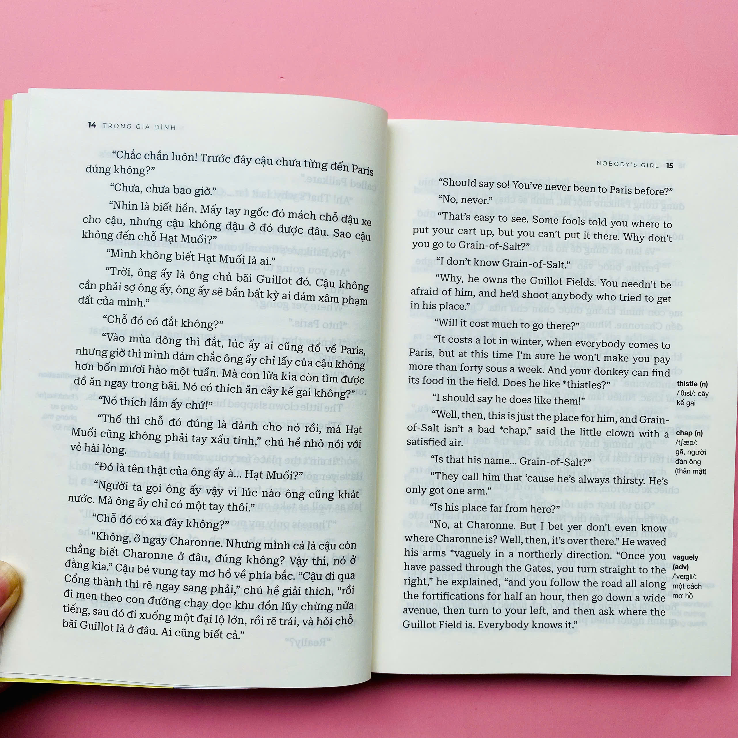 Trong Gia Đình - Nobody's Girl - Song Ngữ Anh-Việt - Ảnh 8