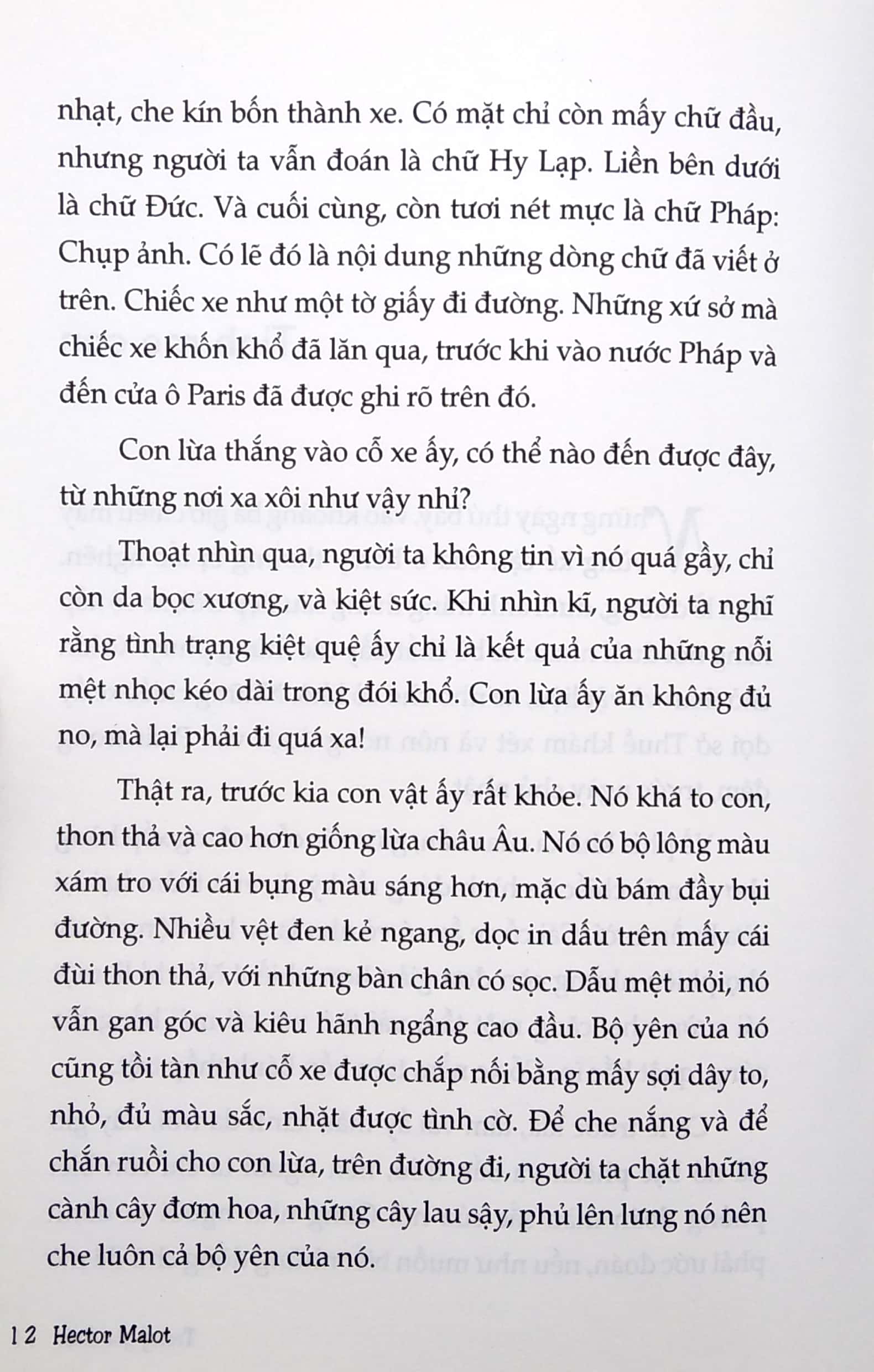 trong gia đình (tazano) - Ảnh 6