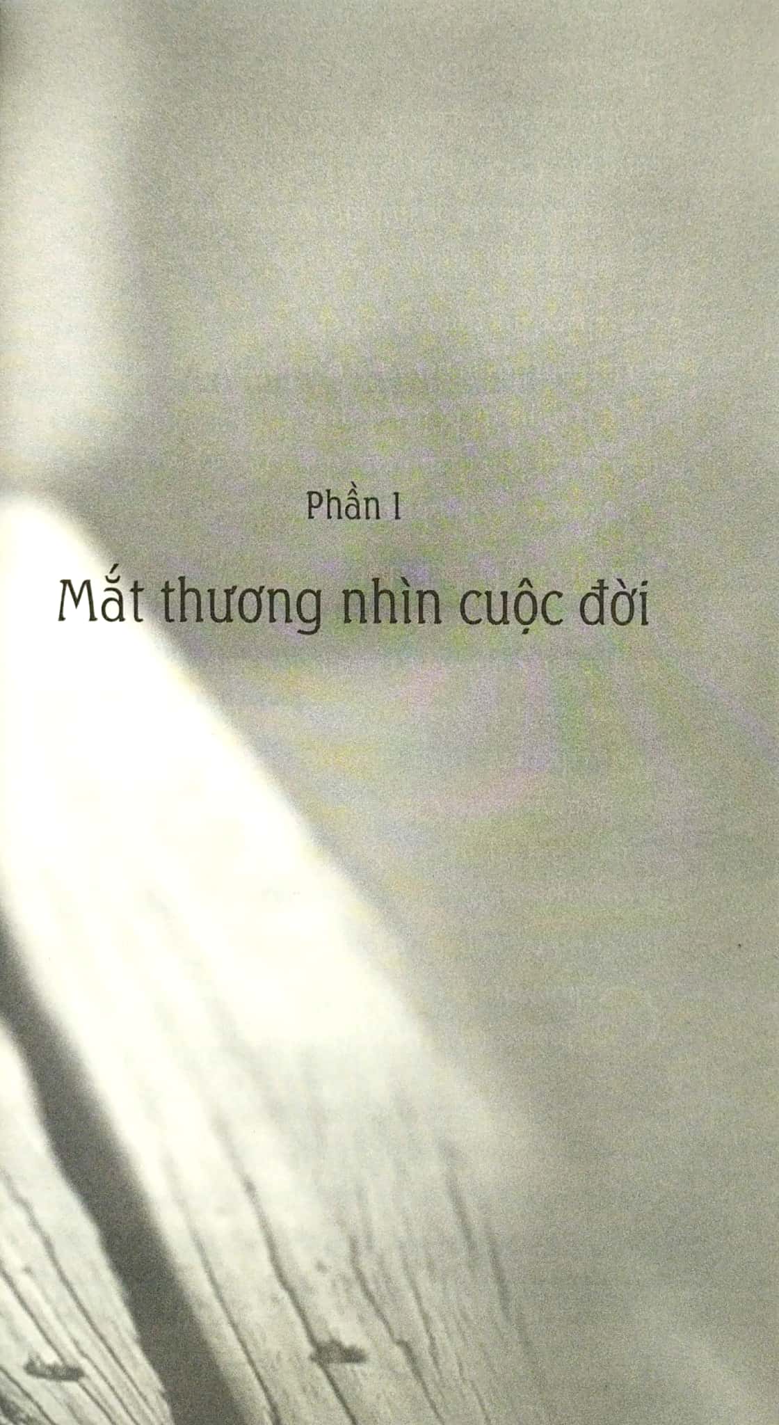 trồng hoa không cho mọc rễ (tái bản 2018) - Ảnh 9