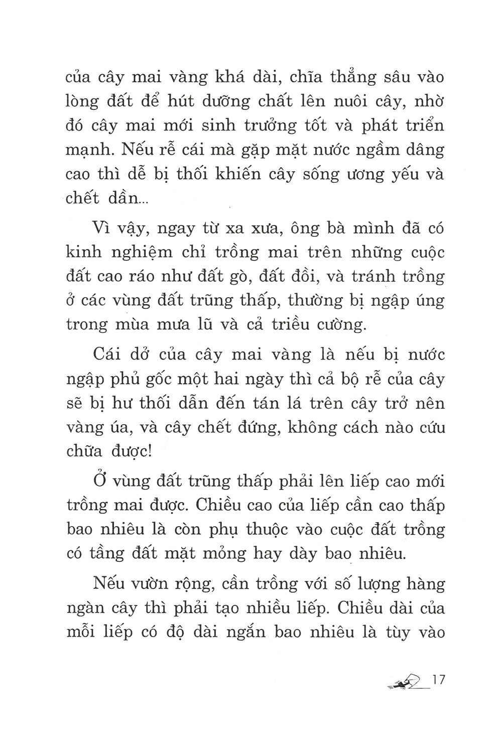 trồng mai - kỹ thuật bón tưới, phòng trừ sâu rầy, bệnh hại - Ảnh 10