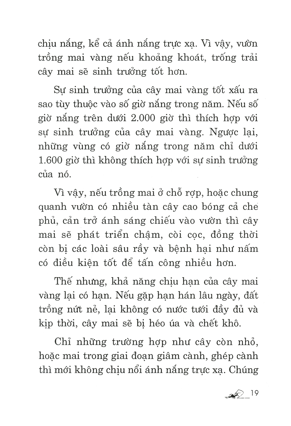 trồng mai - kỹ thuật bón tưới, phòng trừ sâu rầy, bệnh hại - Ảnh 12