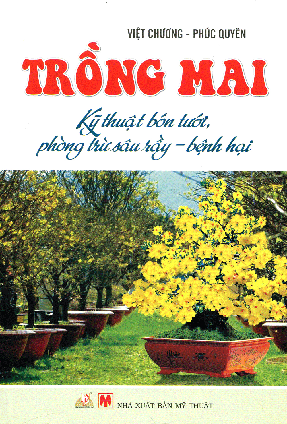 trồng mai - kỹ thuật bón tưới, phòng trừ sâu rầy, bệnh hại - Ảnh 2