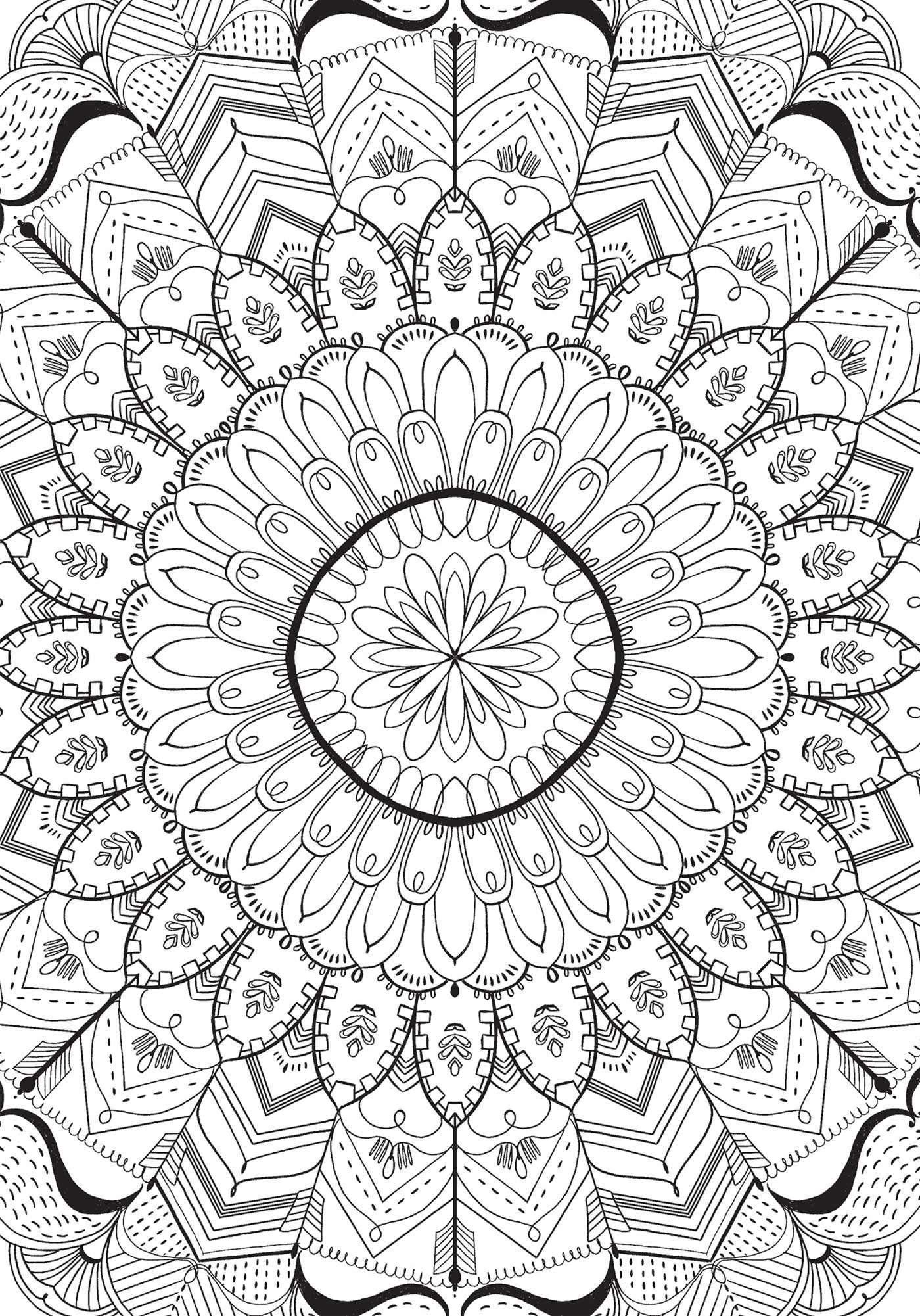 tropical coloring book & word search - Ảnh 6