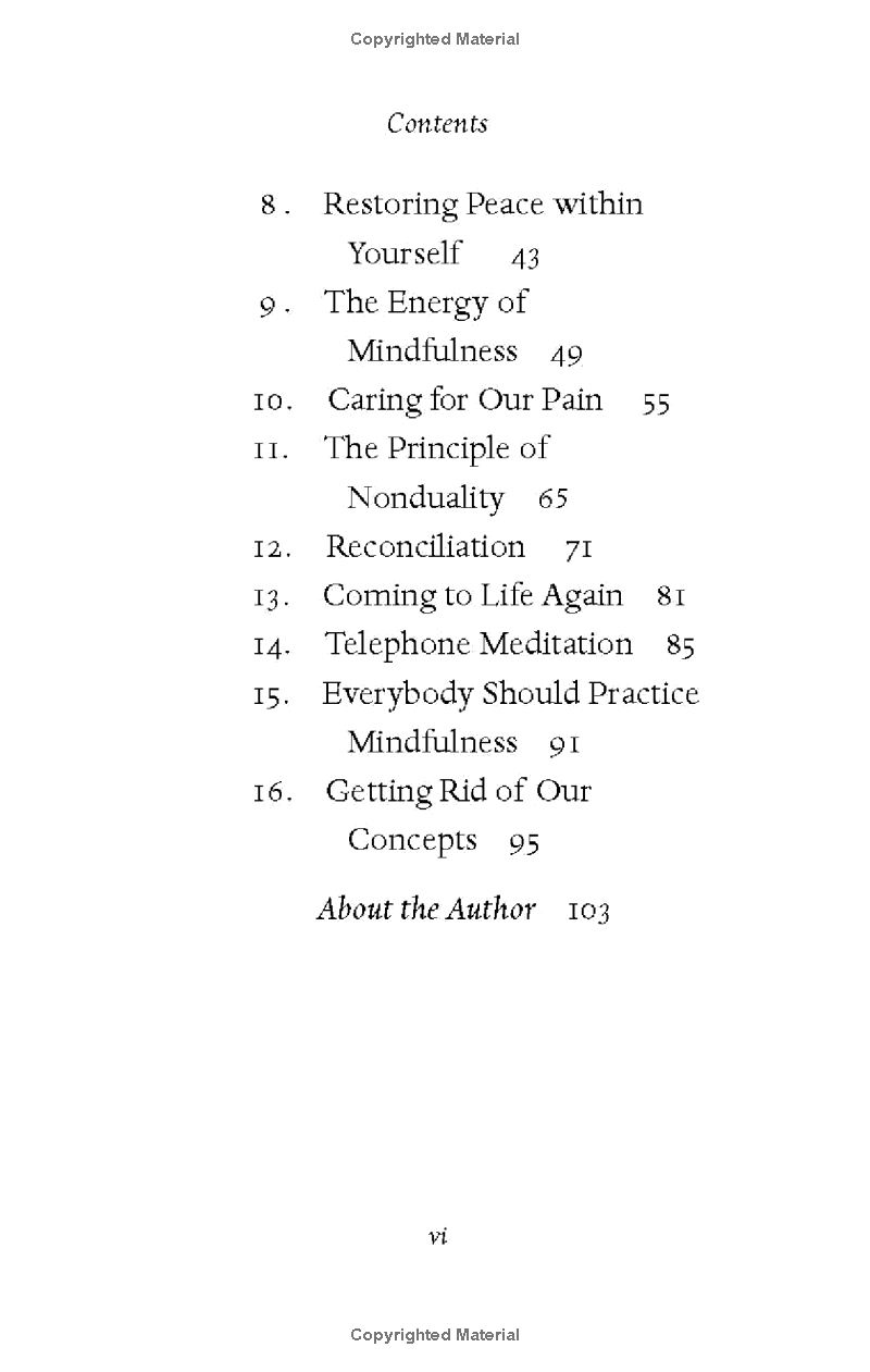 true love: a practice for awakening the heart - Ảnh 4