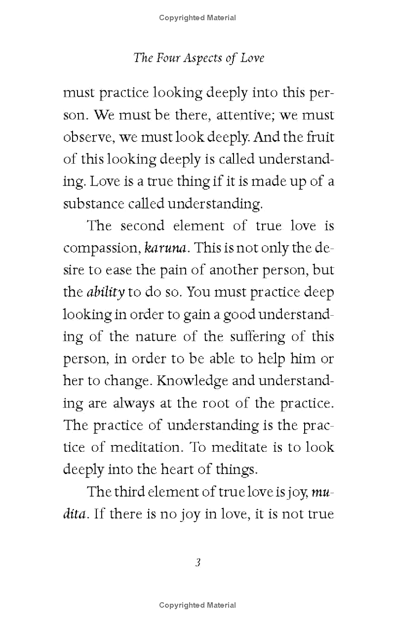true love: a practice for awakening the heart - Ảnh 7