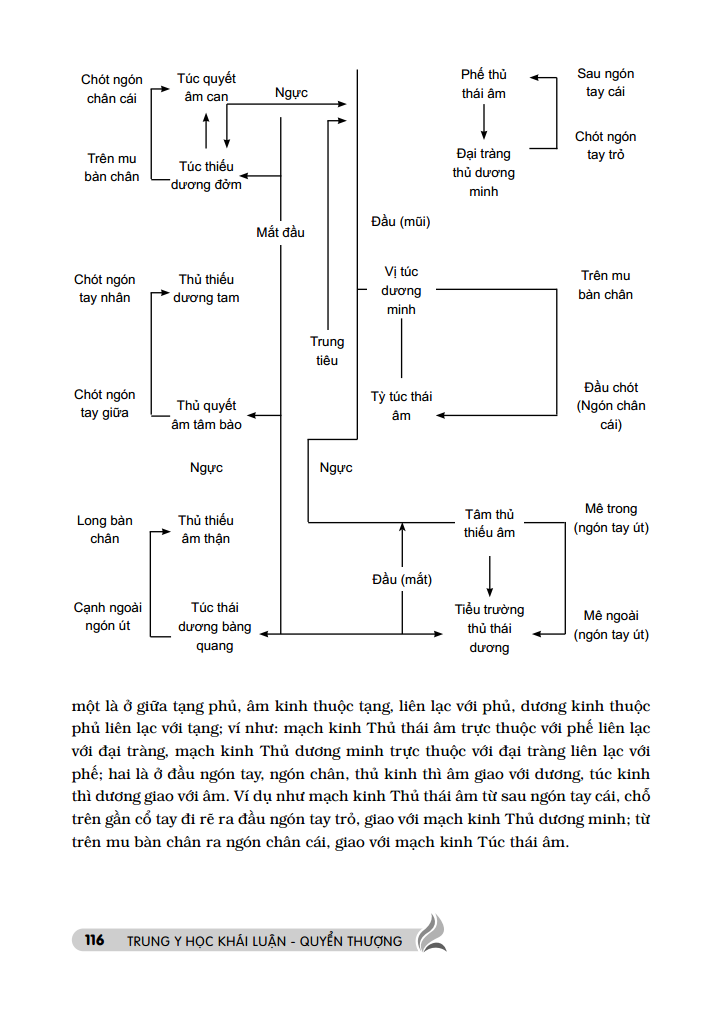 trung y học khái luận (quyển thượng ) - Ảnh 13