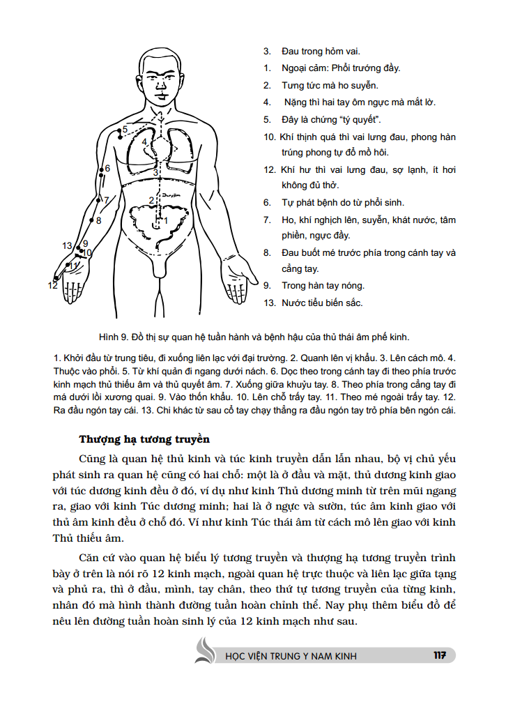 trung y học khái luận (quyển thượng ) - Ảnh 14