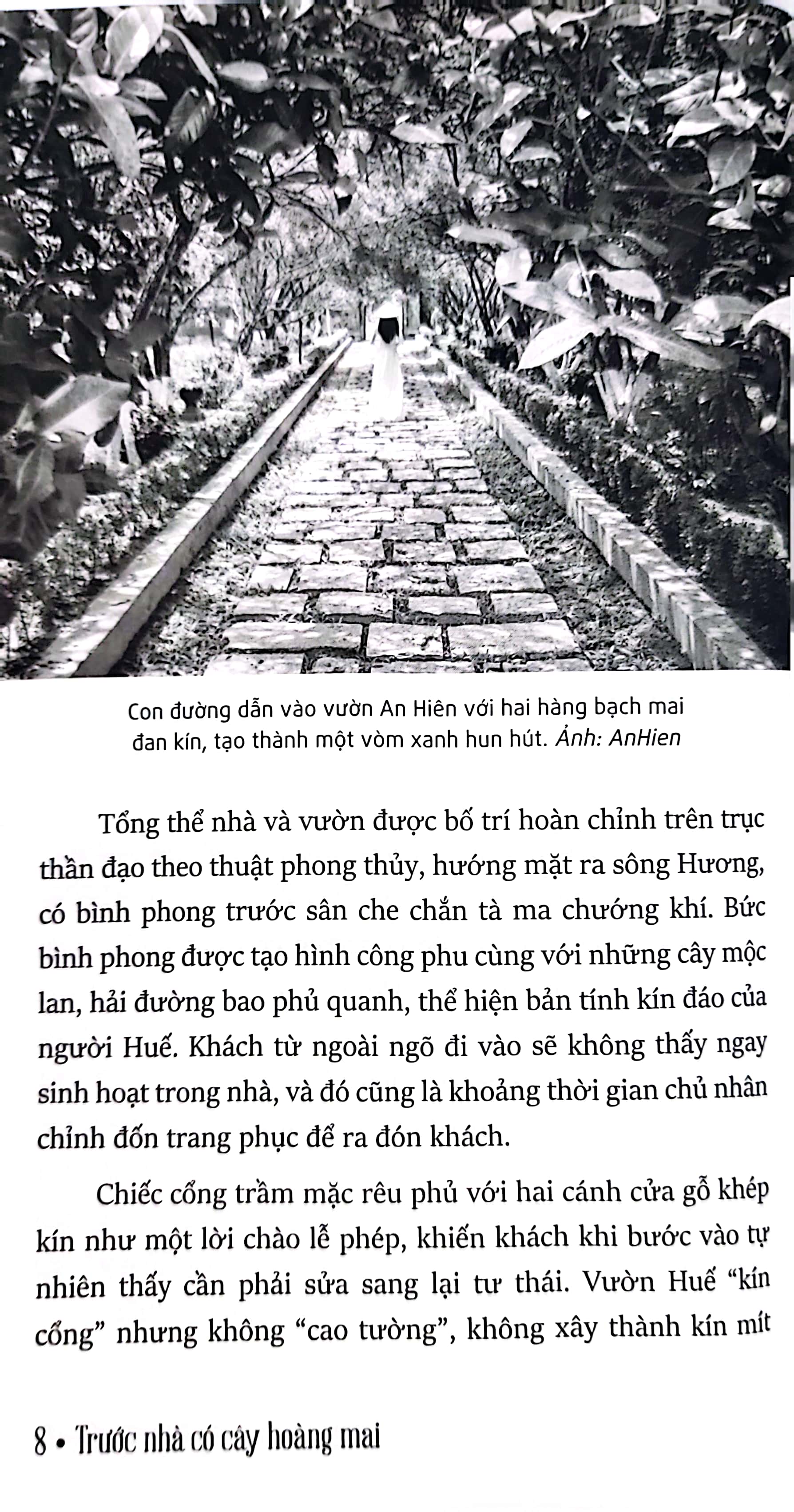 trước nhà có cây hoàng mai - những ghi chép về huế - xứ sở phong rêu kiêu sa (tái bản 2024) - Ảnh 4