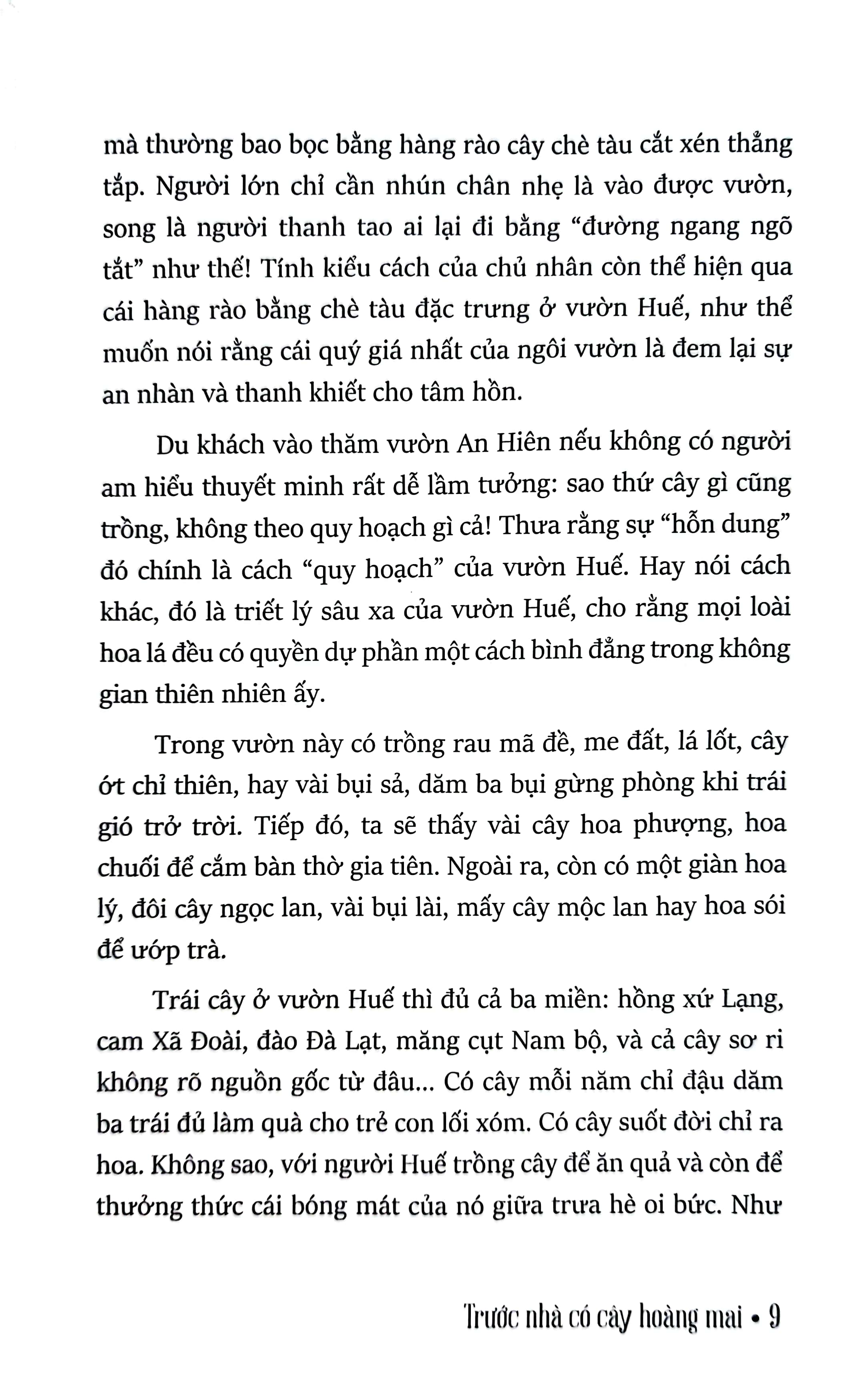 trước nhà có cây hoàng mai - những ghi chép về huế - xứ sở phong rêu kiêu sa (tái bản 2024) - Ảnh 5