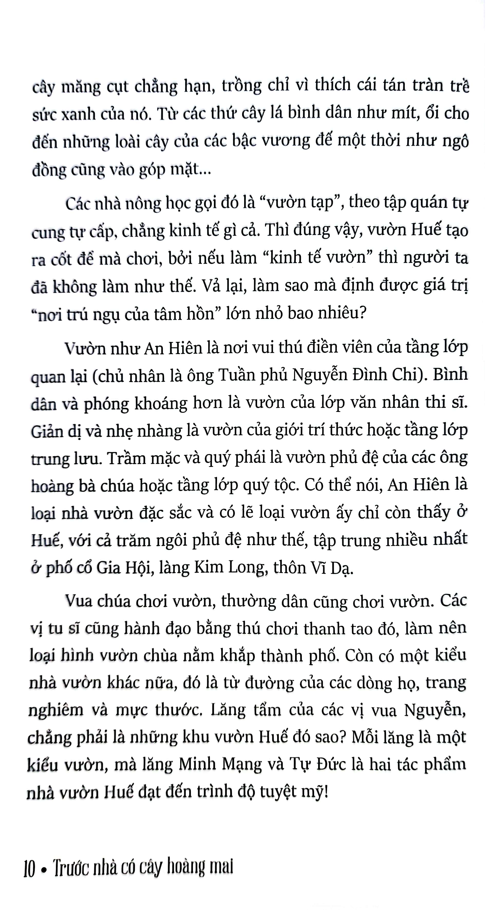trước nhà có cây hoàng mai - những ghi chép về huế - xứ sở phong rêu kiêu sa (tái bản 2024) - Ảnh 6