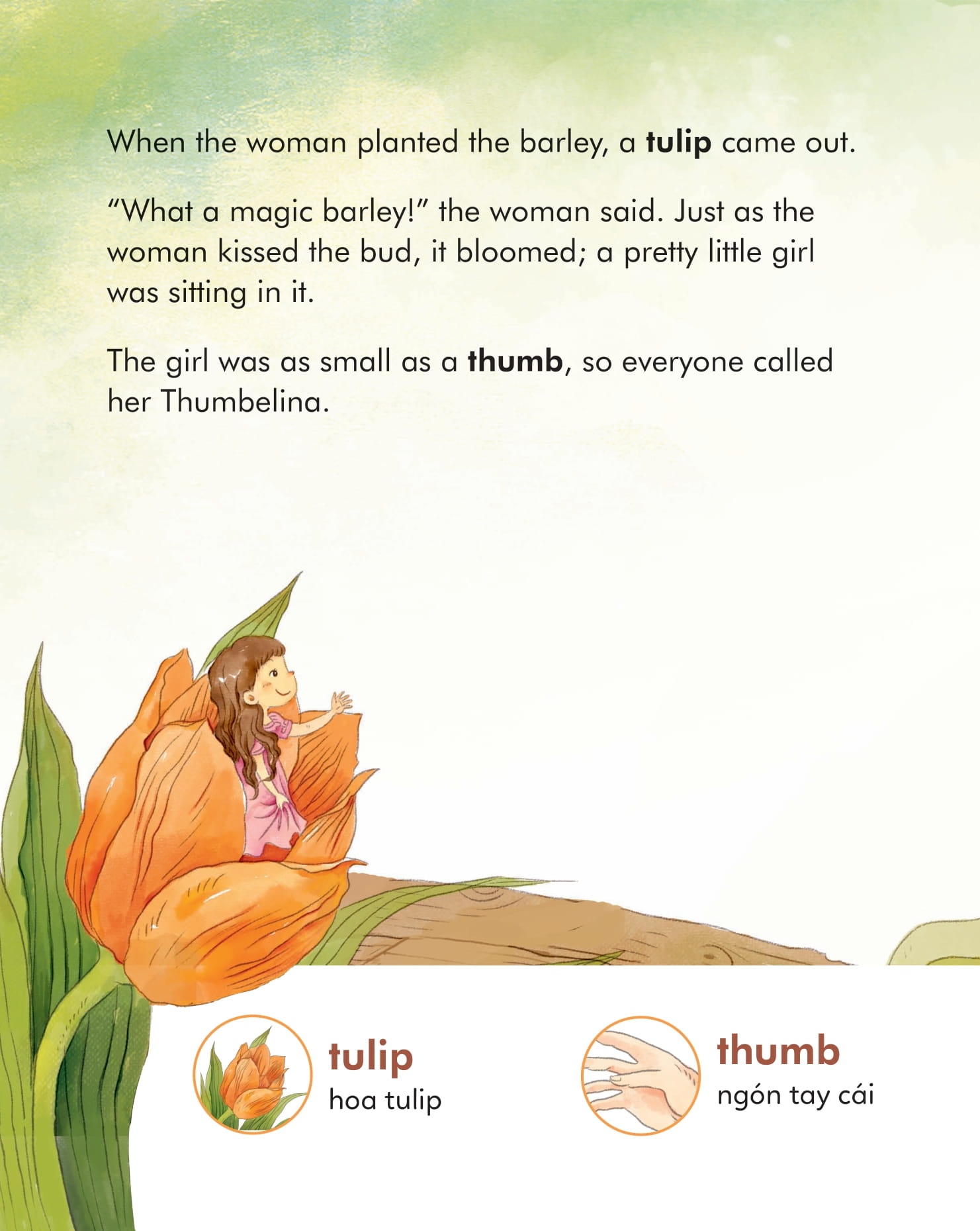 truyện cổ tích nổi tiếng (song ngữ việt anh) - thumbelina - cô bé tí hon - Ảnh 6