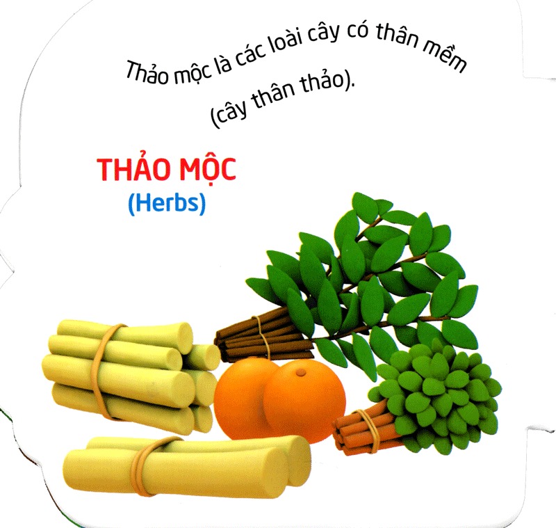 truyện cổ tích việt nam dành cho thiếu nhi - tấm cám (tái bản 2023) - Ảnh 5