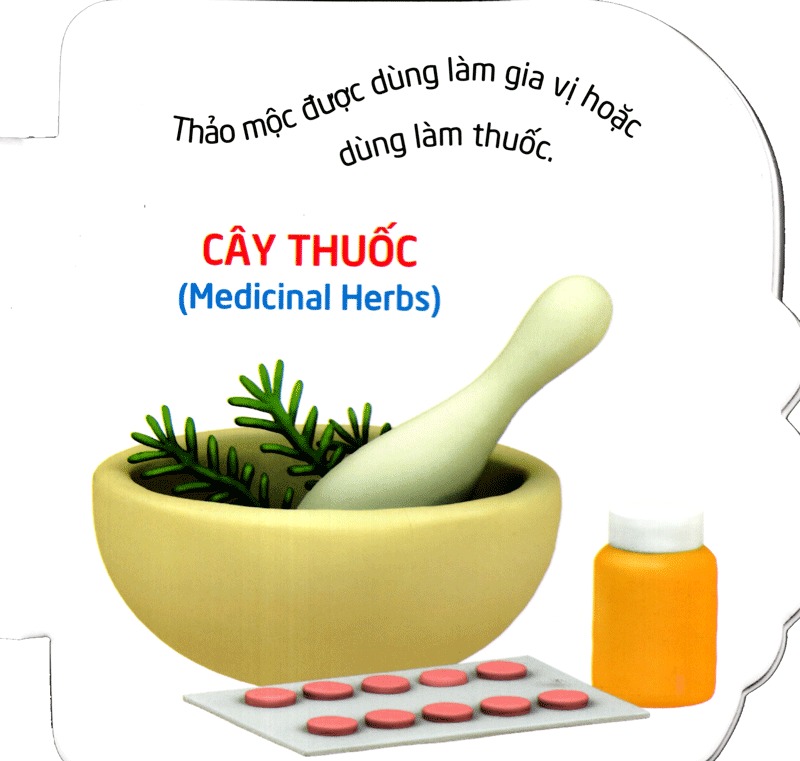 truyện cổ tích việt nam dành cho thiếu nhi - tấm cám (tái bản 2023) - Ảnh 6