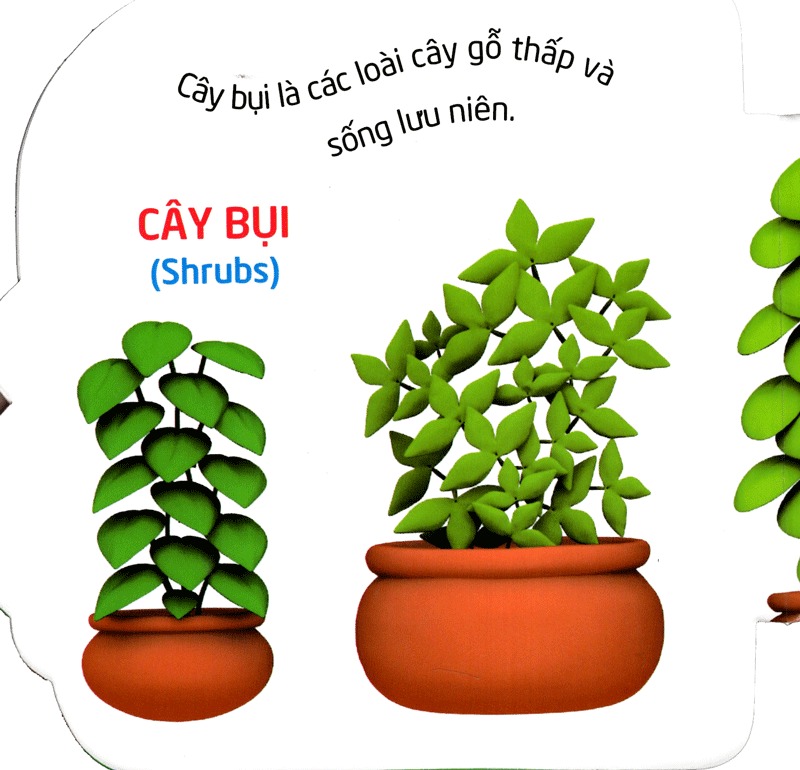 truyện cổ tích việt nam dành cho thiếu nhi - tấm cám (tái bản 2023) - Ảnh 7