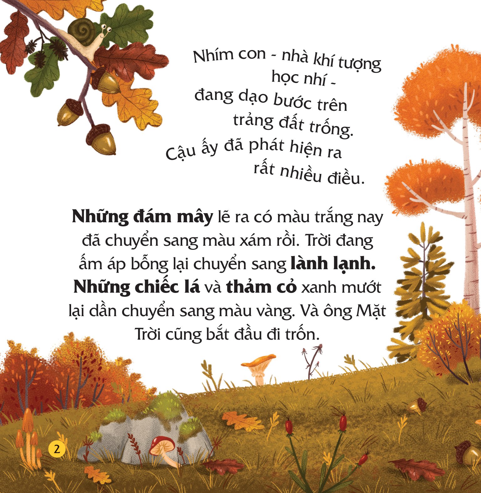 truyện kể bốn mùa - nhím con ham học hỏi - điều kỳ diệu của mùa thu - Ảnh 3