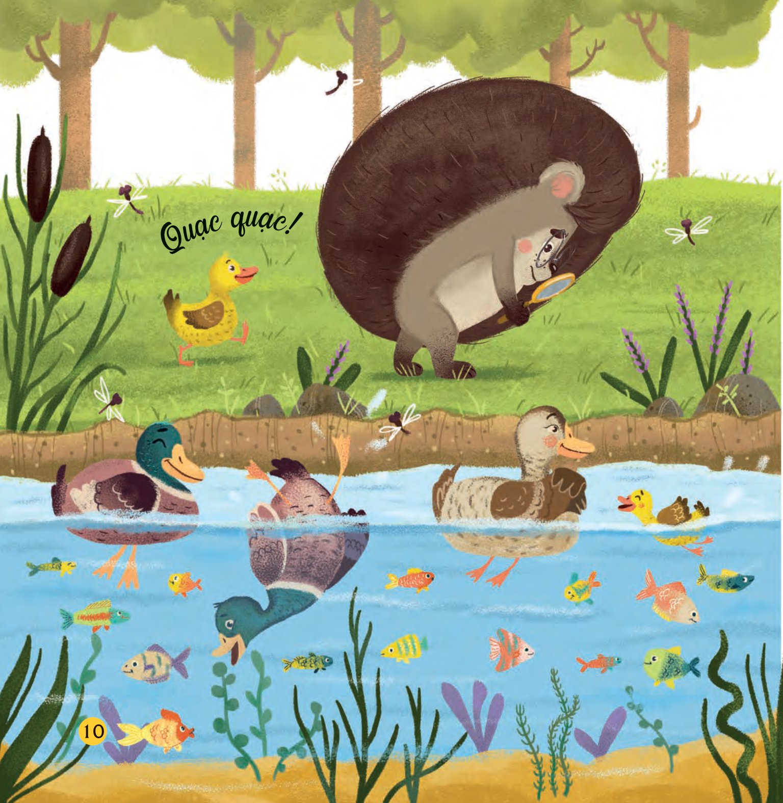 truyện kể bốn mùa - nhím con ham học hỏi - món quà của mùa hè - Ảnh 11