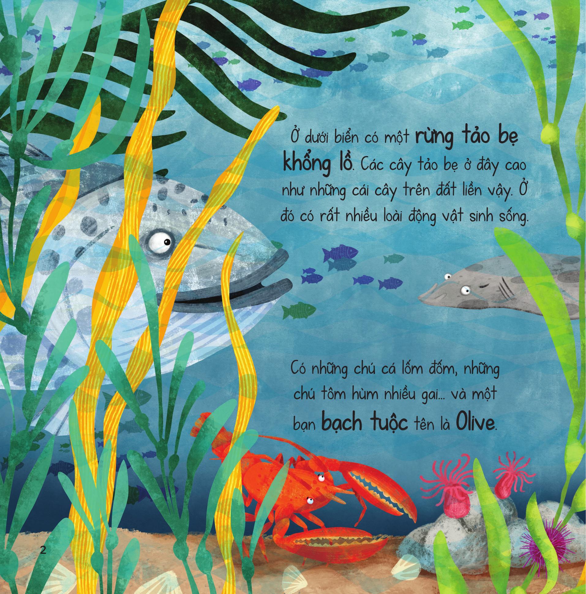truyện kể từ đại dương - bí ẩn rừng tảo bẹ - Ảnh 4