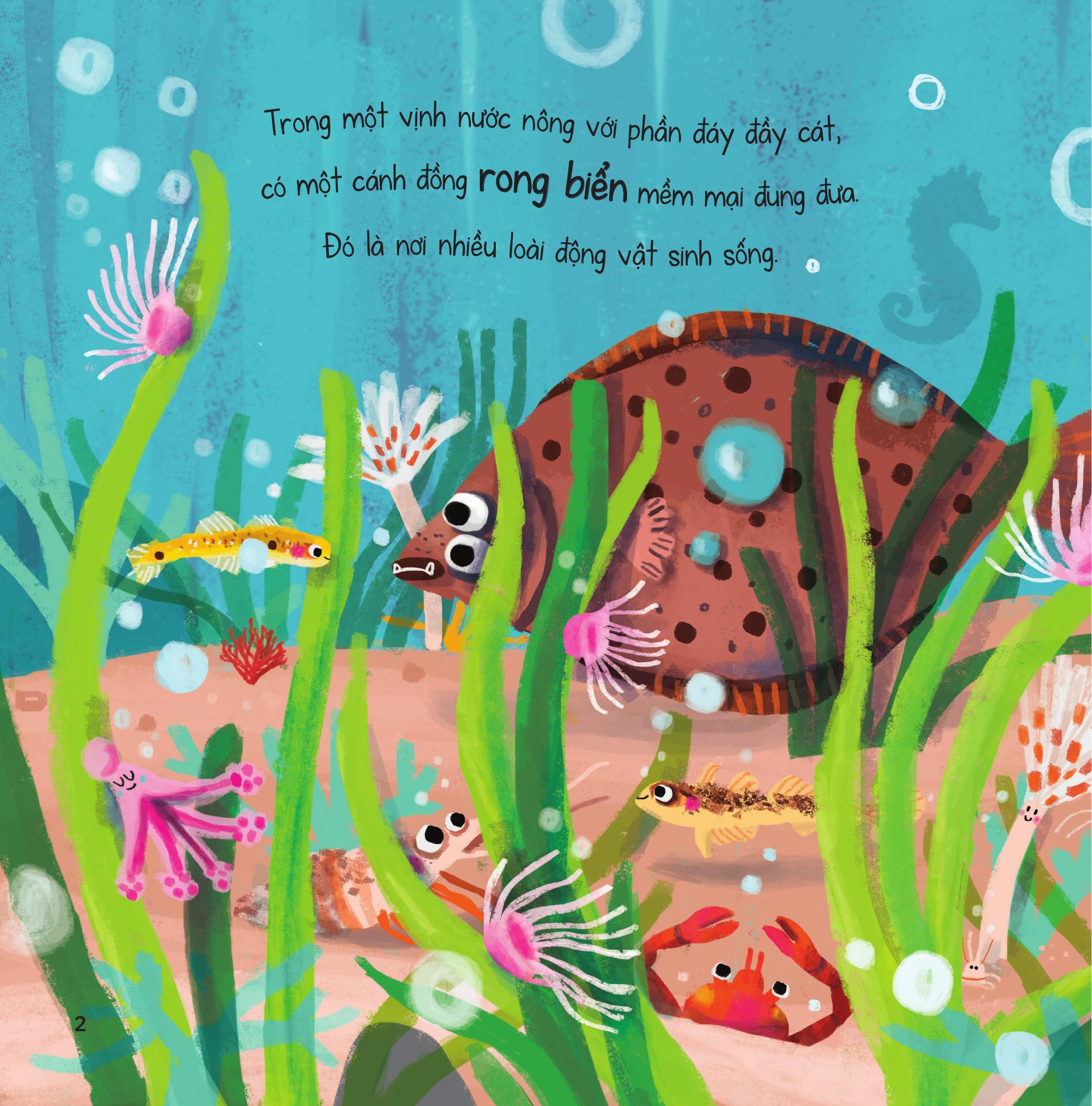 truyện kể từ đại dương - hóa ra tớ cũng thật tuyệt vời! - Ảnh 4