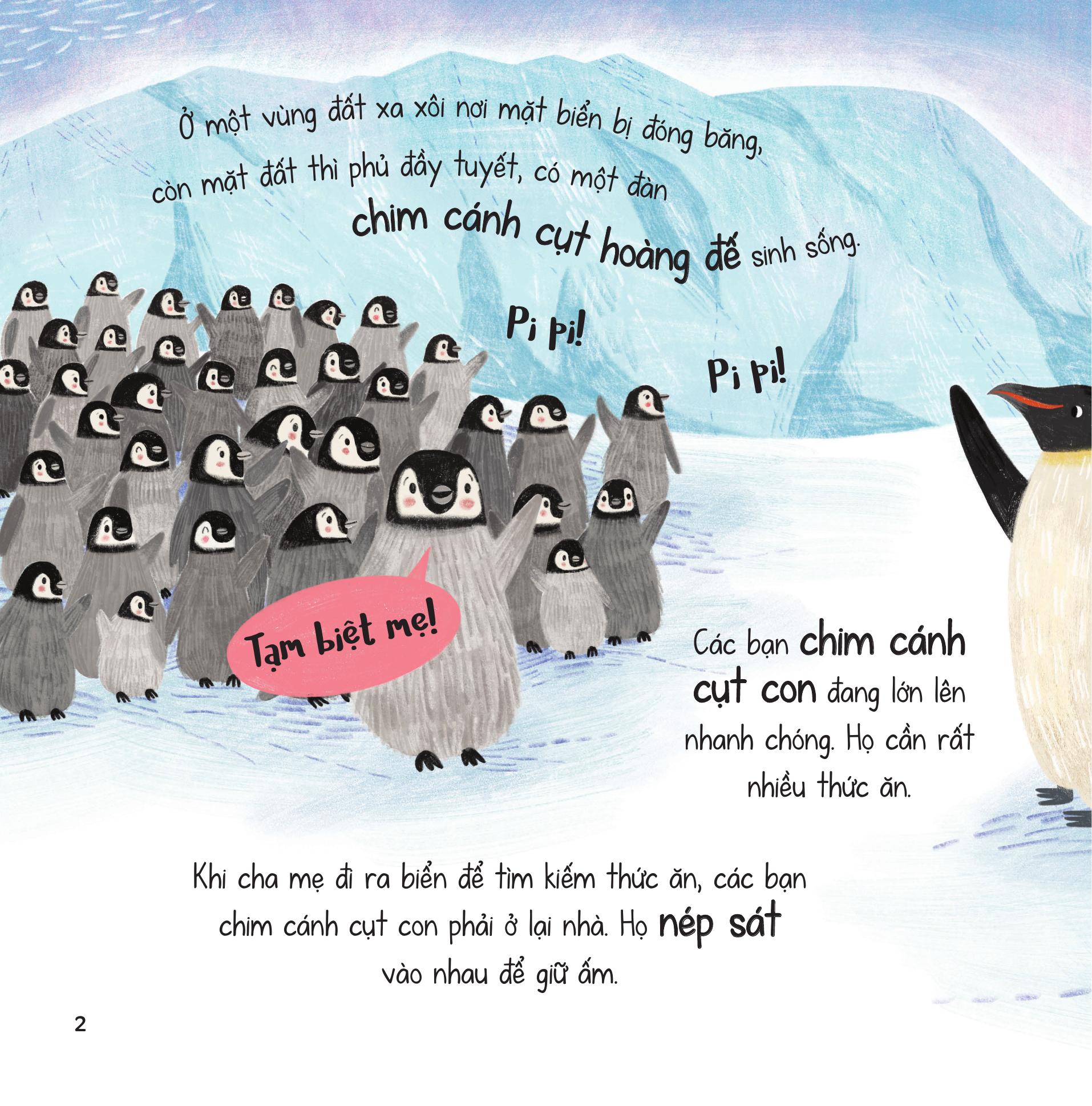 truyện kể từ đại dương - lòng tốt nơi biển cả lạnh giá - Ảnh 4