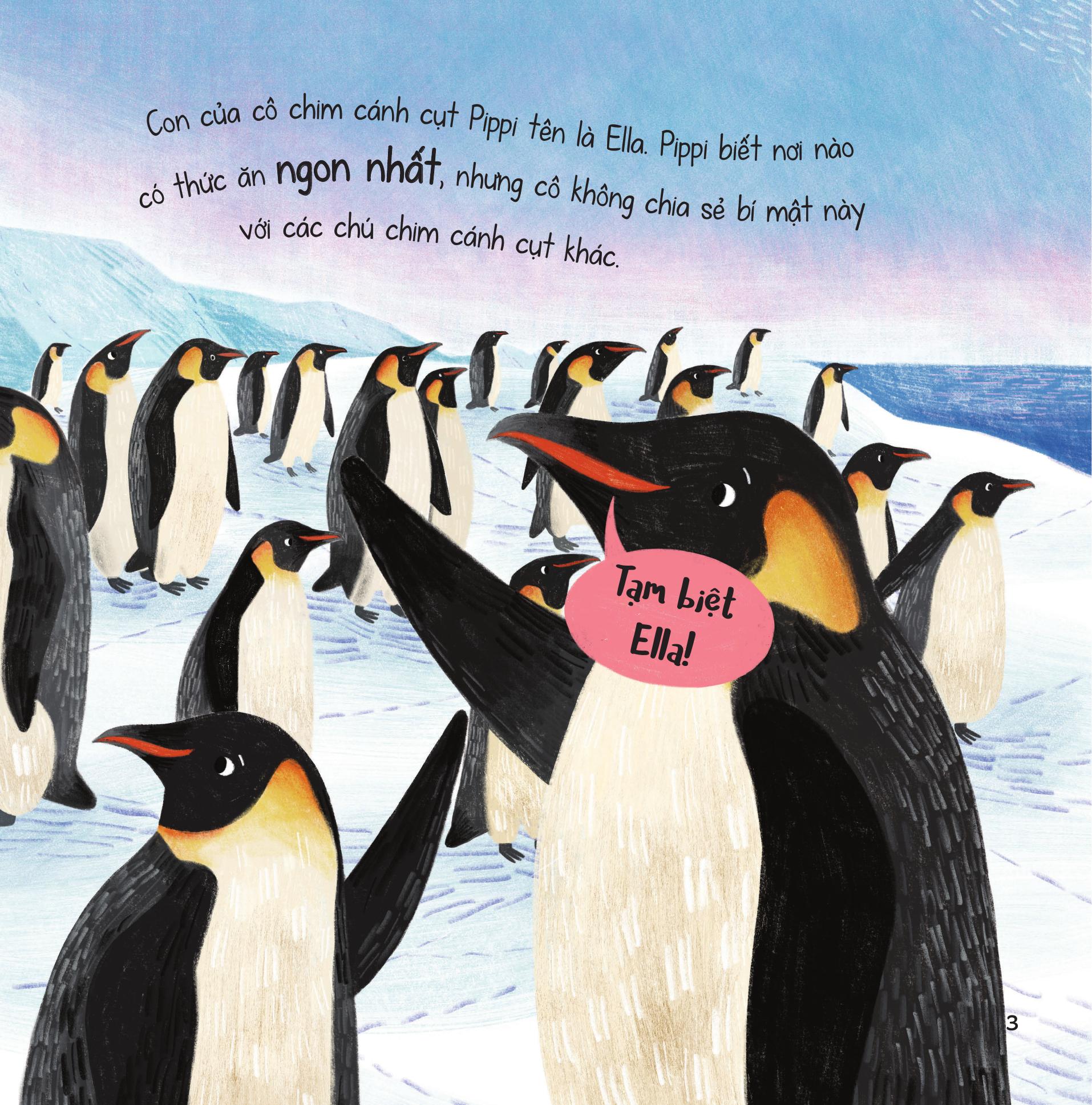 truyện kể từ đại dương - lòng tốt nơi biển cả lạnh giá - Ảnh 5