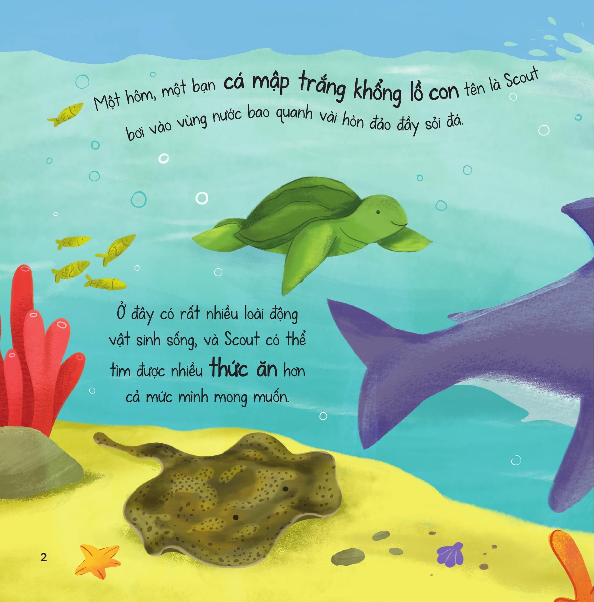 truyện kể từ đại dương - những tài năng đặc biệt - Ảnh 4